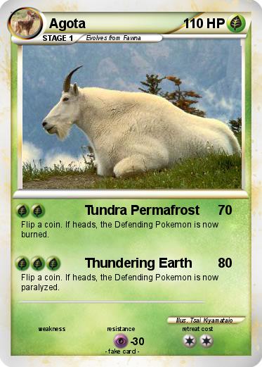 Pokemon Agota