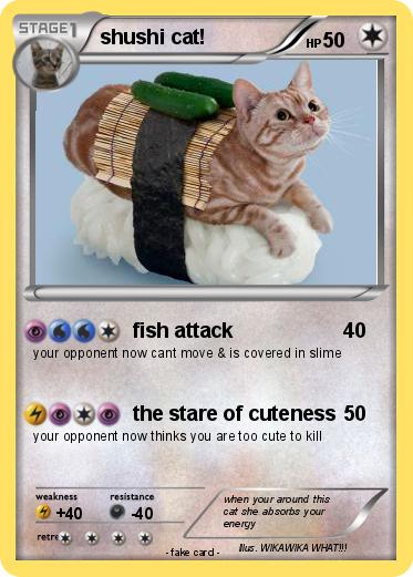 Pokemon shushi cat!