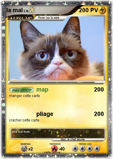 Pokemon la mal