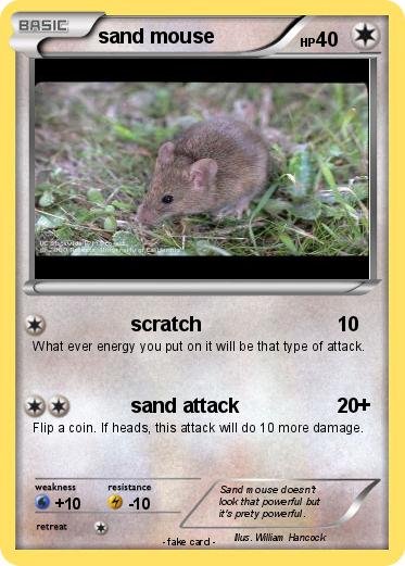 Pokemon sand mouse