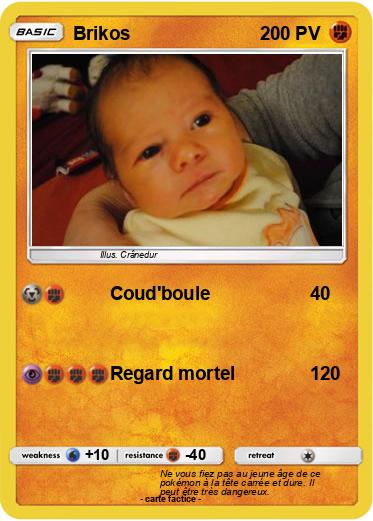 Pokemon Brikos