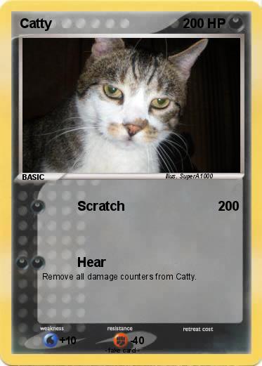 Pokemon Catty