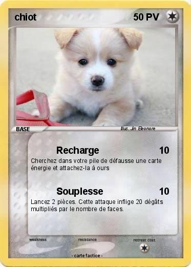 Pokemon chiot