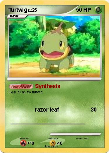 Pokemon Turtwig
