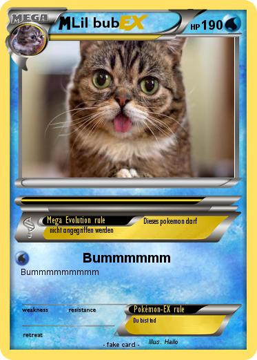 Pokemon Lil bub