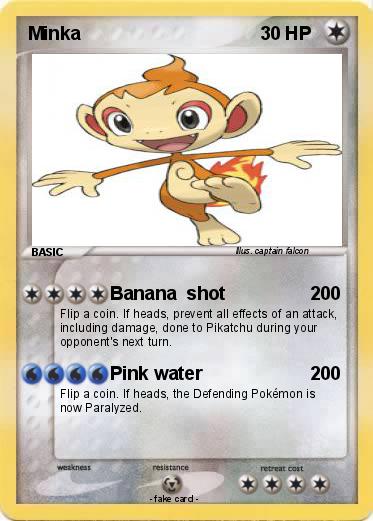 Pokemon Minka