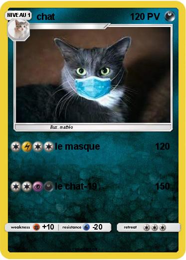 Pokemon chat