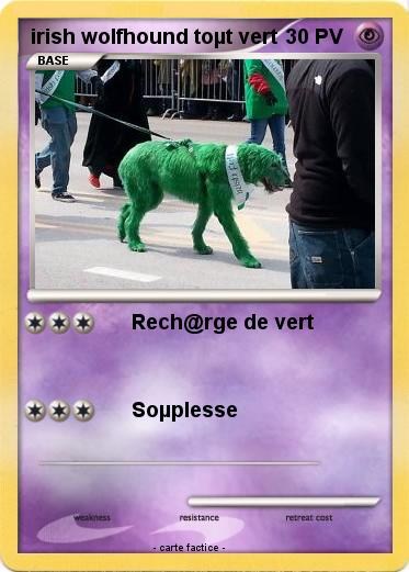Pokemon irish wolfhound toµt vert