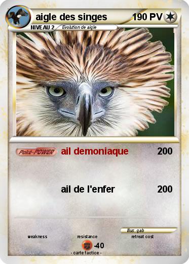 Pokemon aigle des singes