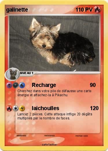 Pokemon galinette