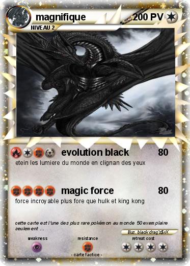 Pokemon magnifique