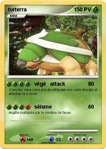 Pokemon torterra