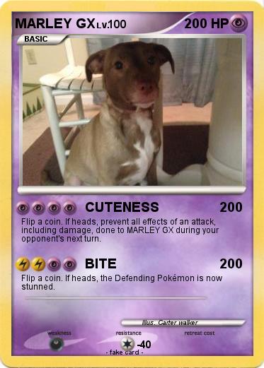 Pokemon MARLEY GX