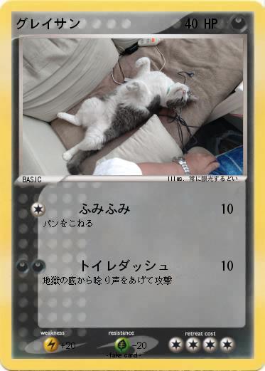 Pokemon グレイサン