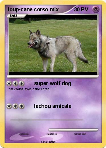 Pokemon loup-cane corso mix