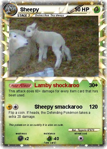 Pokemon Sheepy