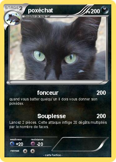 Pokemon poxéchat