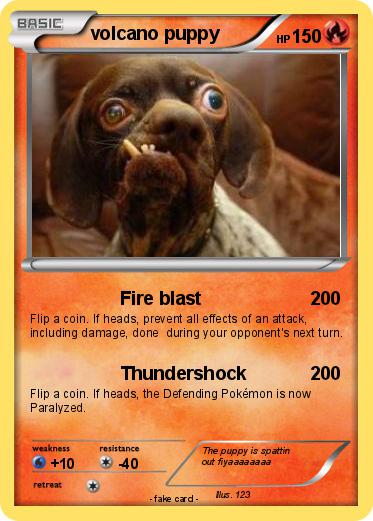 Pokemon volcano puppy
