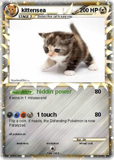 Pokemon kittensea