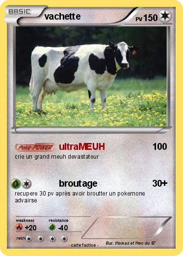 Pokemon vachette