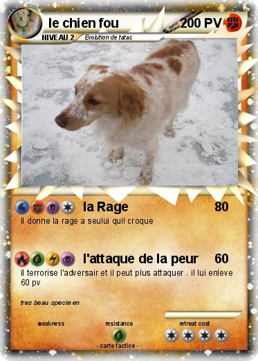 Pokemon le chien fou