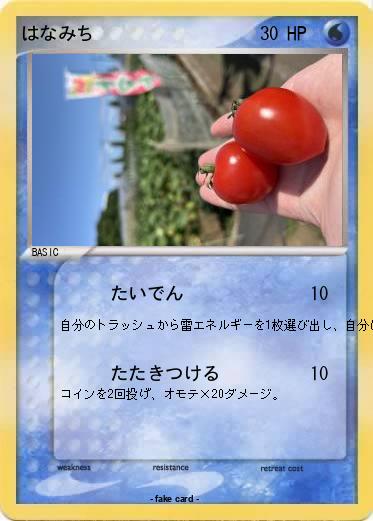 Pokemon はなみち