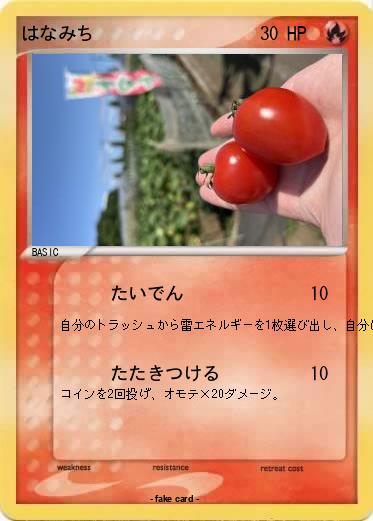 Pokemon はなみち