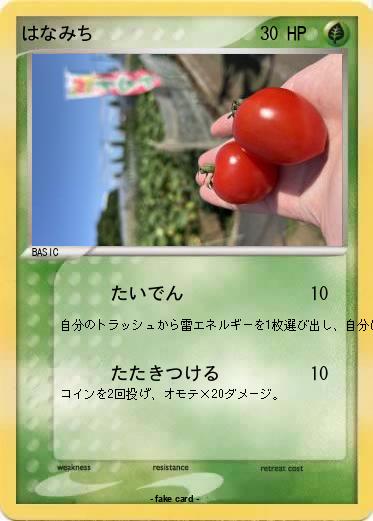 Pokemon はなみち