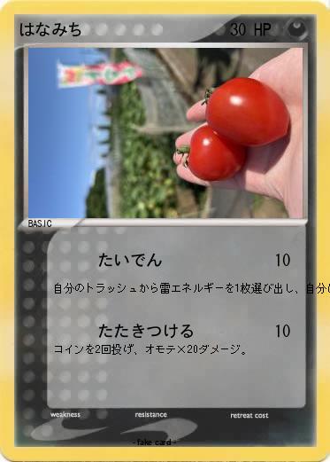Pokemon はなみち
