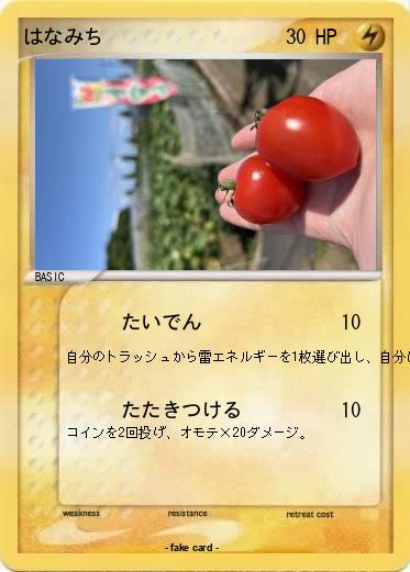 Pokemon はなみち