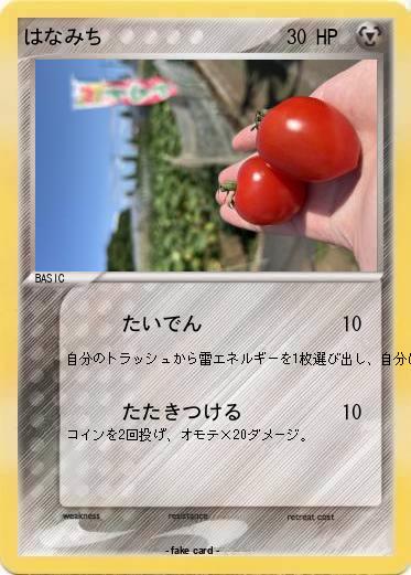 Pokemon はなみち