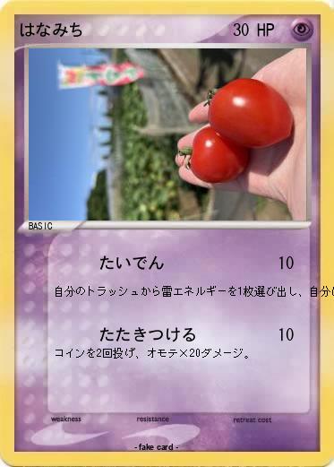 Pokemon はなみち