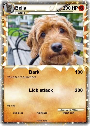 Pokemon Bella