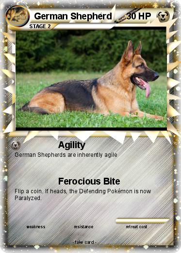 Pokemon German Shepherd
