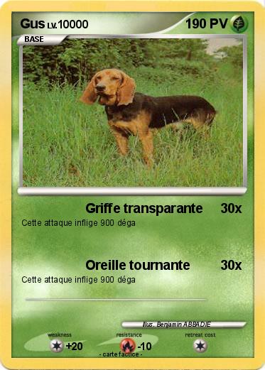 Pokemon Gus