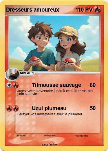 Pokemon Dresseurs amoureux