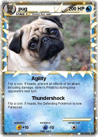 Pokemon pug