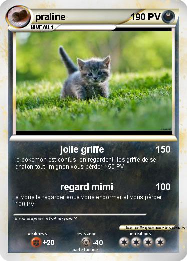 Pokemon praline