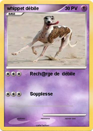 Pokemon whippet débile