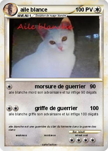 Pokemon aile blance