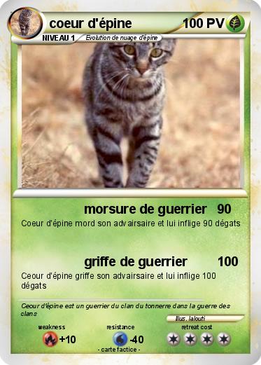 Pokemon coeur d'épine