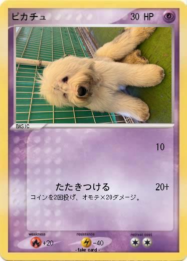 Pokemon ピカチュ