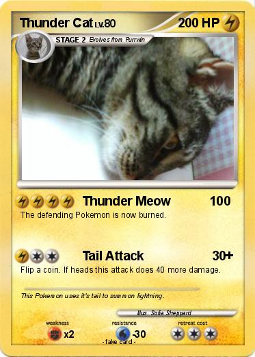 Pokemon Thunder Cat