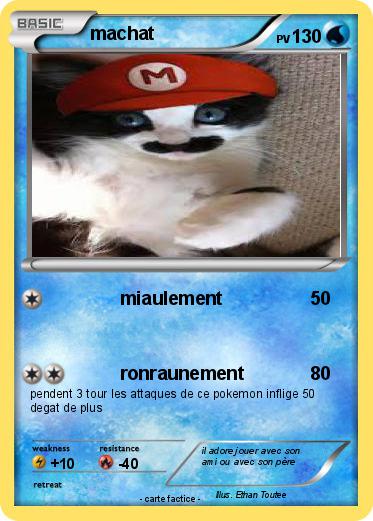 Pokemon machat