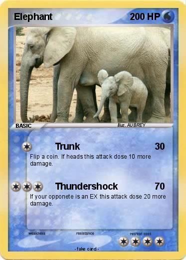 Pokemon Elephant
