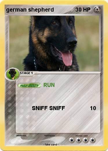 Pokemon german shepherd