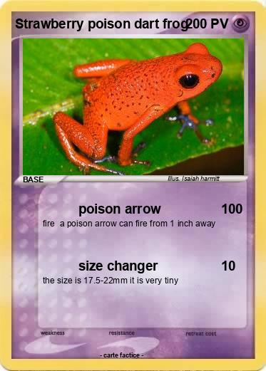 Pokemon Strawberry poison dart frog