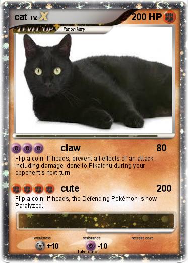 Pokemon cat