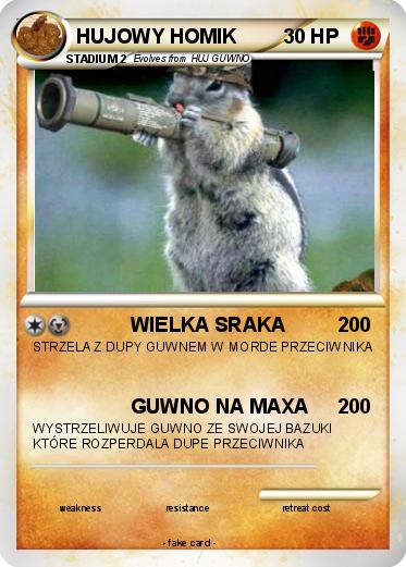 Pokemon HUJOWY HOMIK