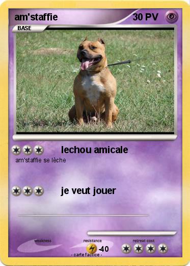 Pokemon am'staffie